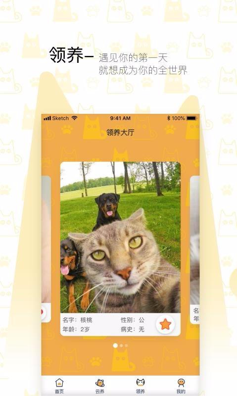 我要猫app下载,我要猫手机版