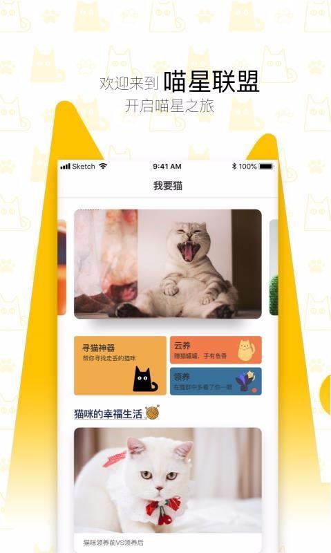 我要猫app下载,我要猫手机版