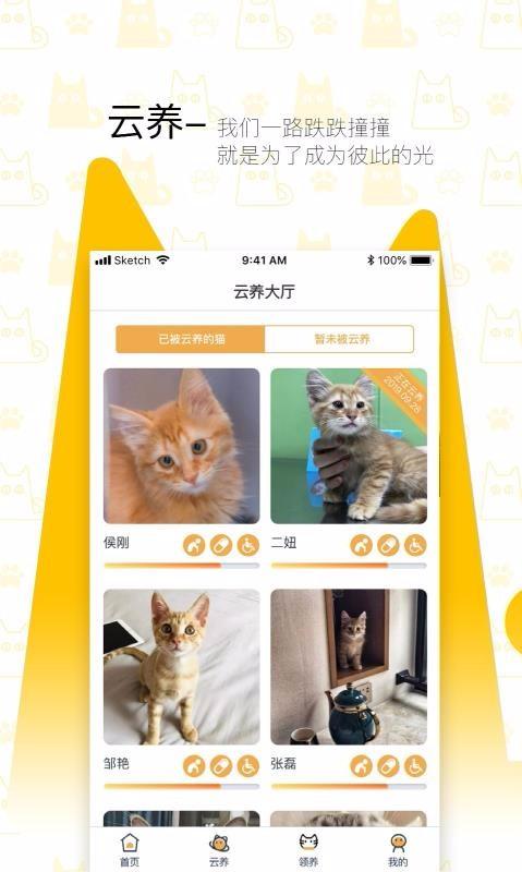 我要猫app下载,我要猫手机版